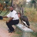Sungura Music (Zimbabwe)
