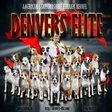 Амстаффы из Денверс Элит | Denvers Elite Kennel