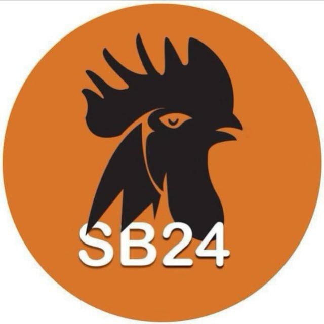 មាន់ជល់ SB24🐓🪽
