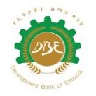 Development Bank of Ethiopia (DBE)