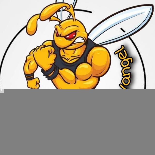SPORT Алея Янгеля