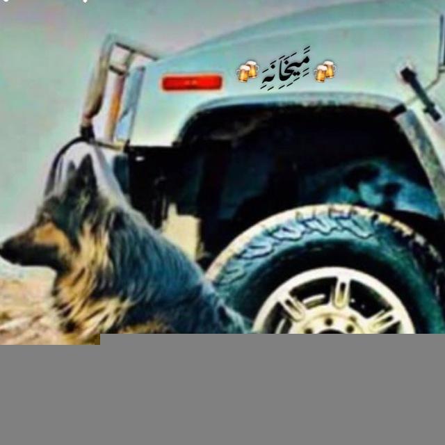 🍻مَِــَِیَِخَِاَِنَِهَِ🍻