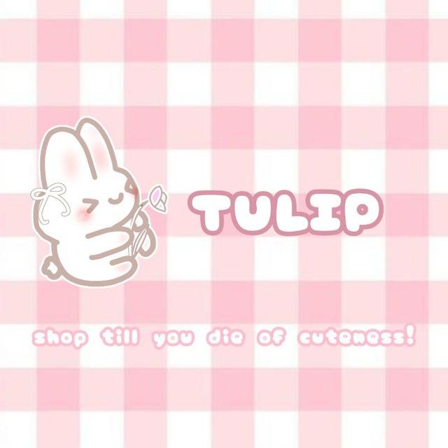 ｡*✧⁠•°Tulip°•✧⁠*⁠。