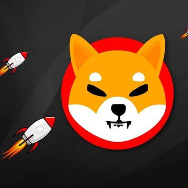 Pay Shiba News