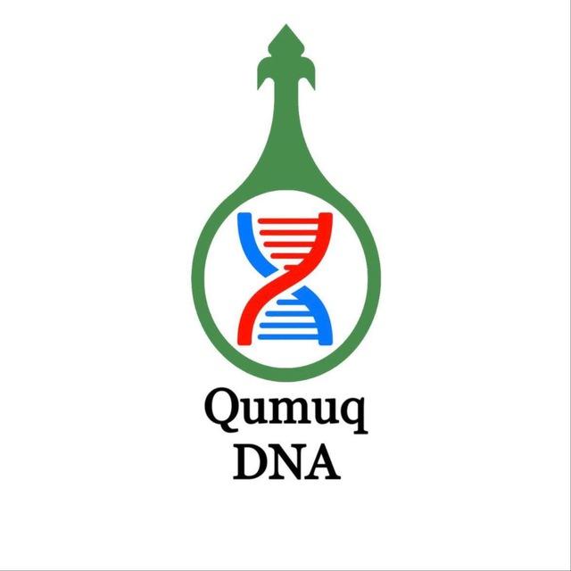 Qumuq DNA