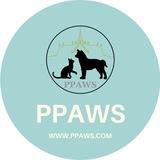 PPAWS Channel - Phnom Penh Animal Welfare Society🐾