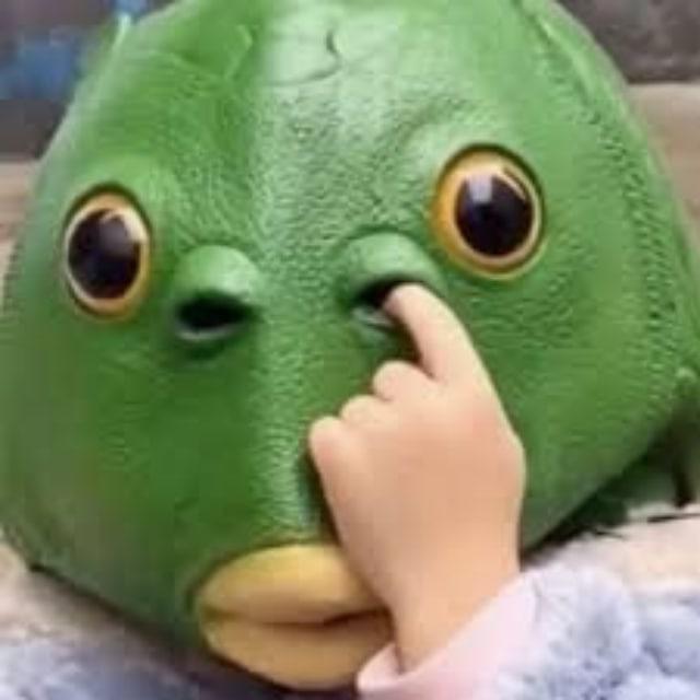 西港/金贝/西湖/南海/白沙/旧山顶/中国城/交流 Chat