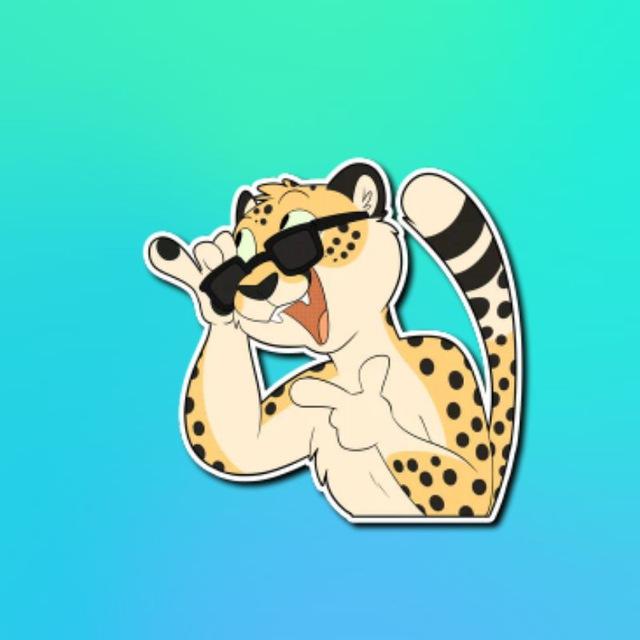 🔥 ПРО БАЧАТУ 💃🕺🏻