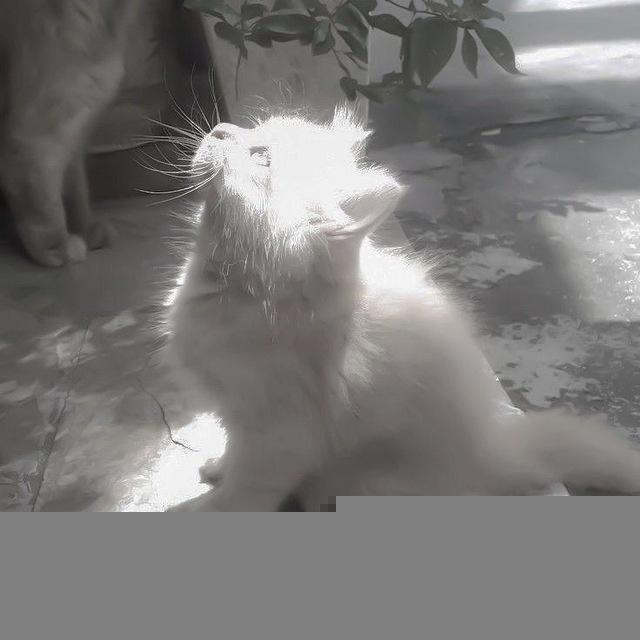 خطط الإنقاذ لكل المواد🌷💗