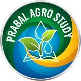 Prabal Agro Study