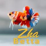 Zha Betta Channel