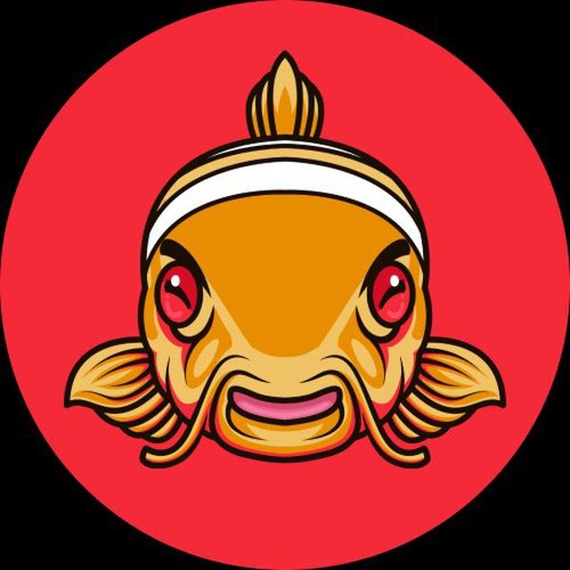 Nemo Sum