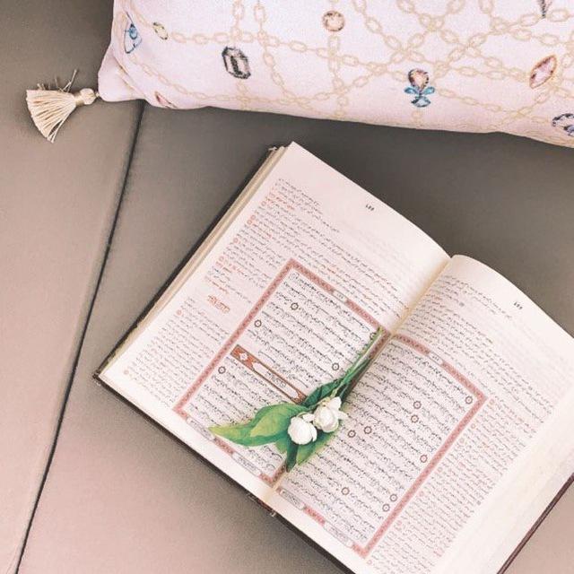 إعلان حلقات تحفيظ مجانية🎯