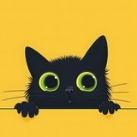 Cute Cats 😻