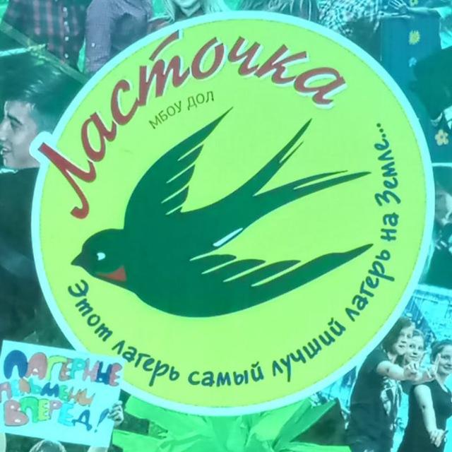 МАУ ДОЛ "Ласточка"