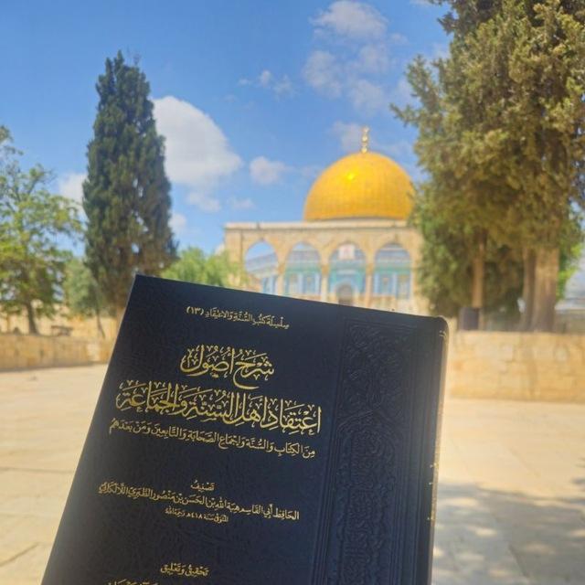 ميراثُ المَقادِسة