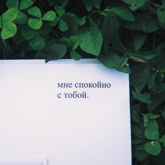 отражение нежности