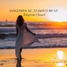 DEEPHOUSE_NUDISCO