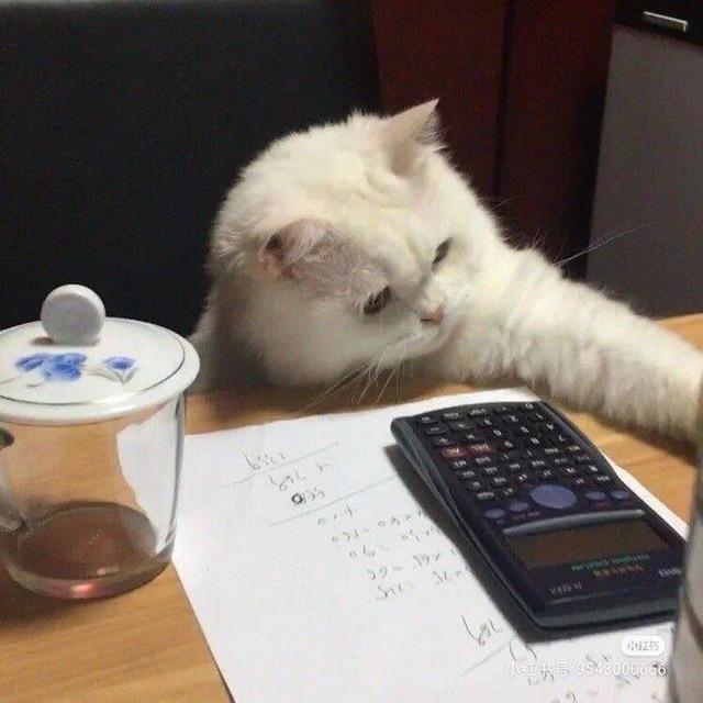 MATH F1 WITH QAYYUM