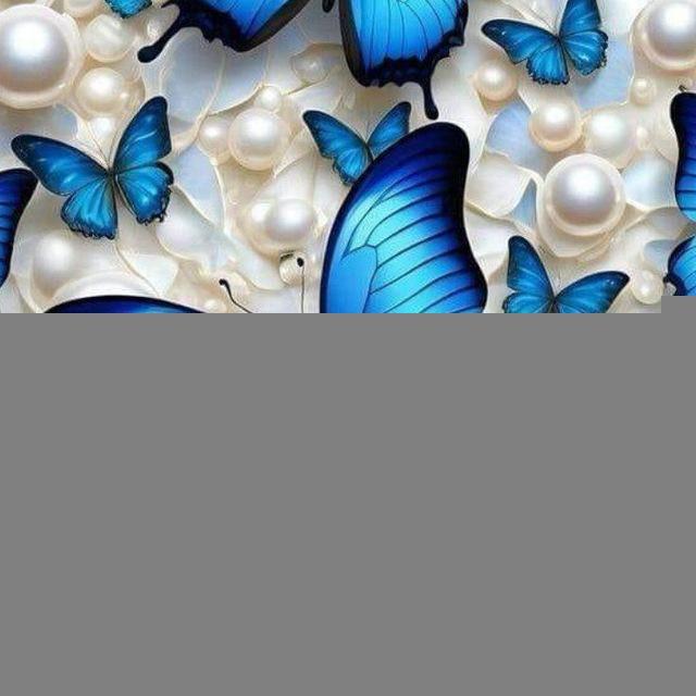 Корпорация актива "Butterfly" 🦋