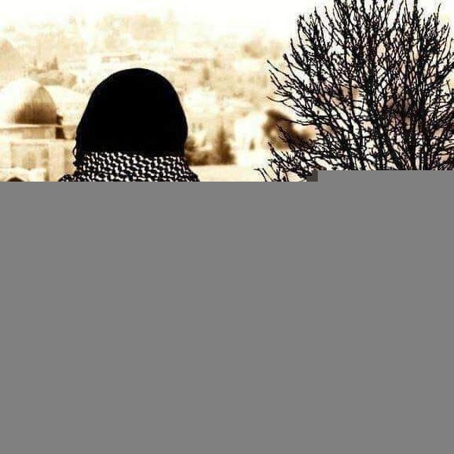 شيماء علي جمال الدين