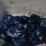 Navy Strings࿐