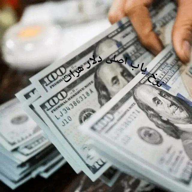 نرخ یاب اصلی دلار هرات