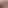 Oo