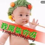 Diu7贏錢莖過引 心水分享