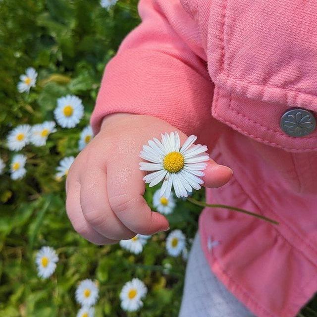 لـُؤلـُؤة 𓂆🌸