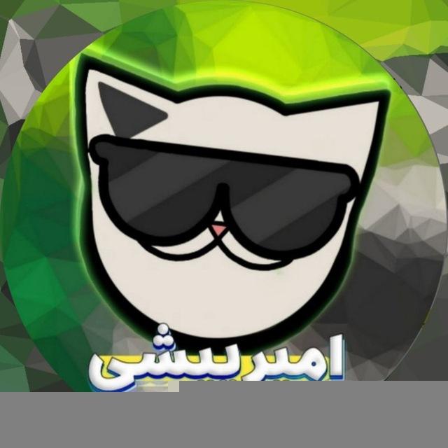 Amirpishi