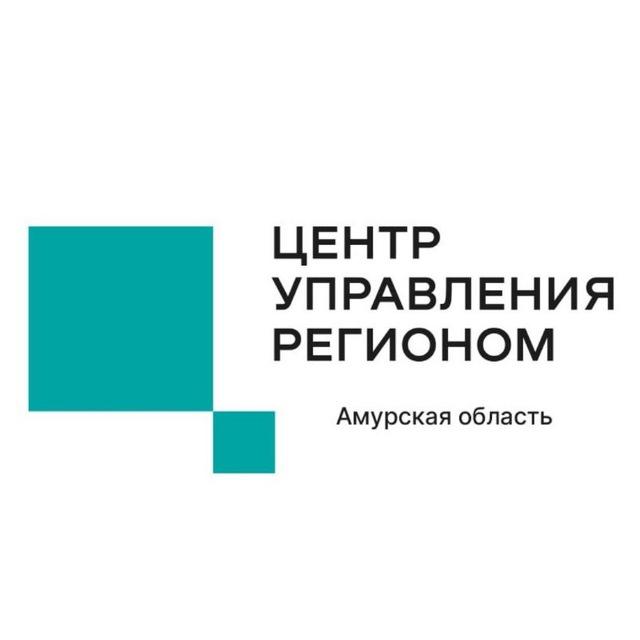 ЦУР Амурской области