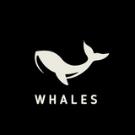 ⚡️WHALES⚡️