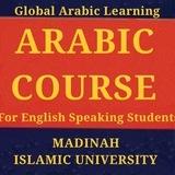 Global Arabic Learnings
