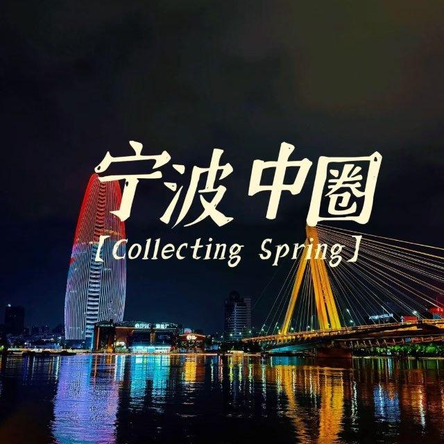 宁波中圈菀式服务