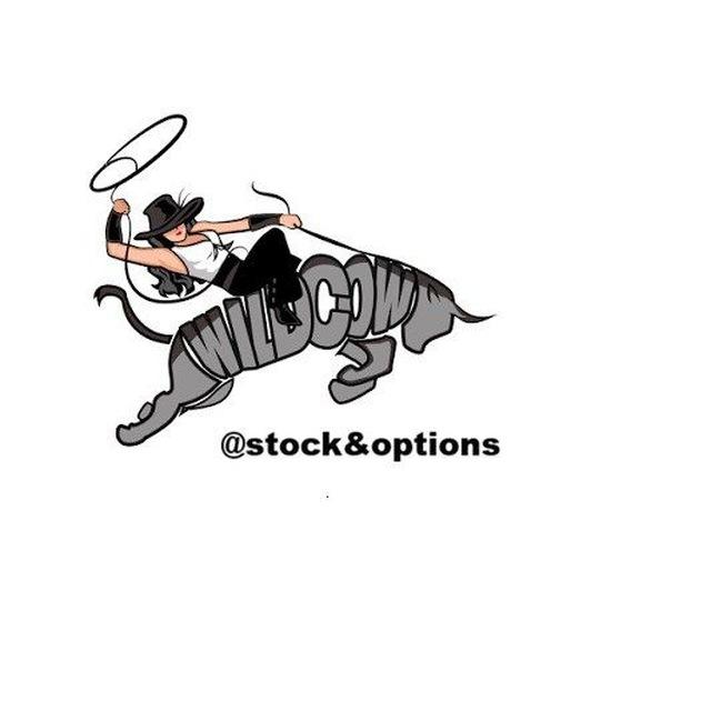 stock & options