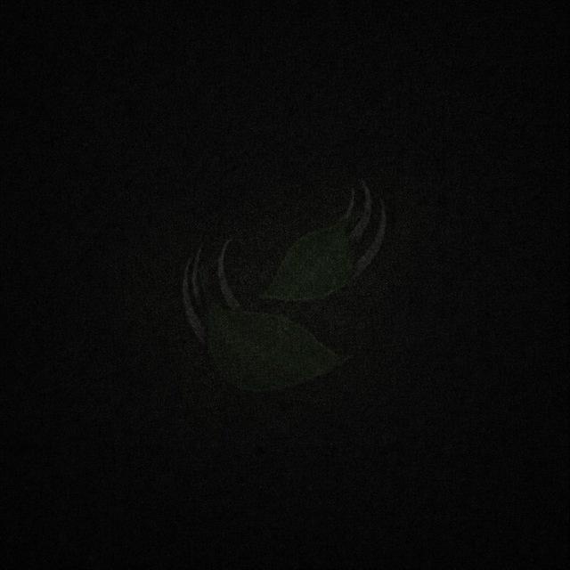 ¿ 🍃 ?