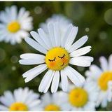 ابتسم تفاؤلاً . . . ツ