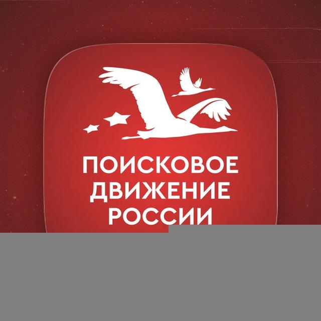 Поисковое движение России в Московской области