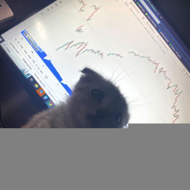 AMIRI | О КРИПТЕ 💰