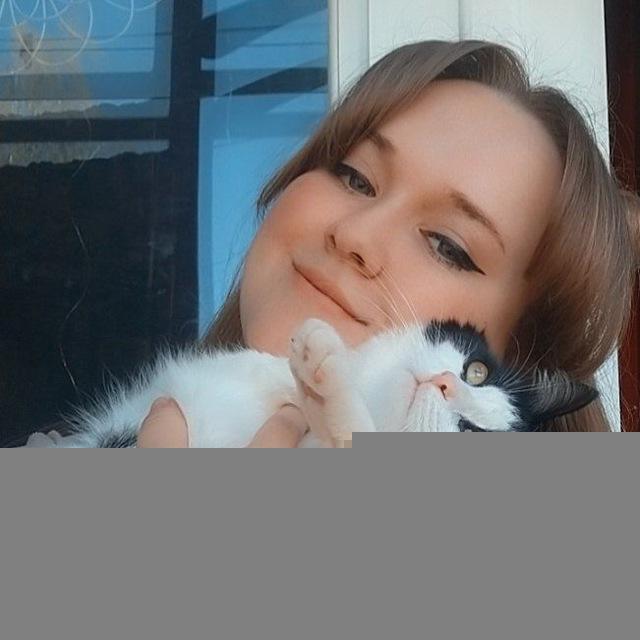 Кошкин дом😻