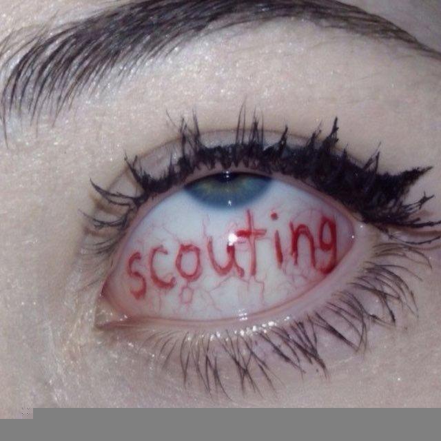 WALLET SCOUT | v2.8