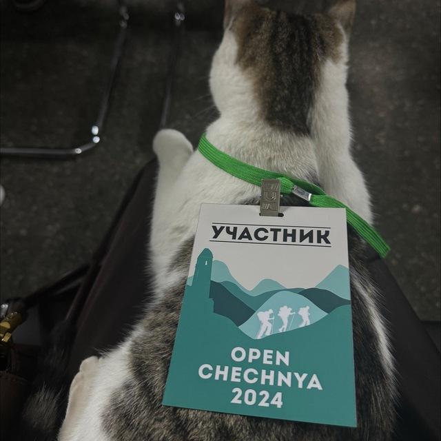 Форумы
