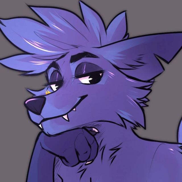 Furo stuff