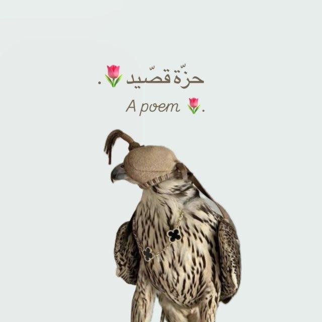 حزّة قصّيد🌷.