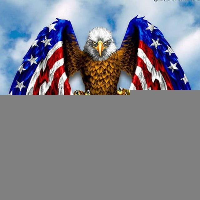 Patriot Save America Discussion