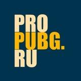PROPUBG.RU | G-COIN | КАСТОМКИ//ТУРНИРЫ ПО ПАБГ | НОВОСТИ PUBG