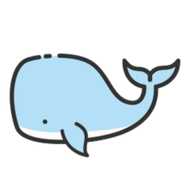 白鲸VPN 免费加速器 翻墙软件