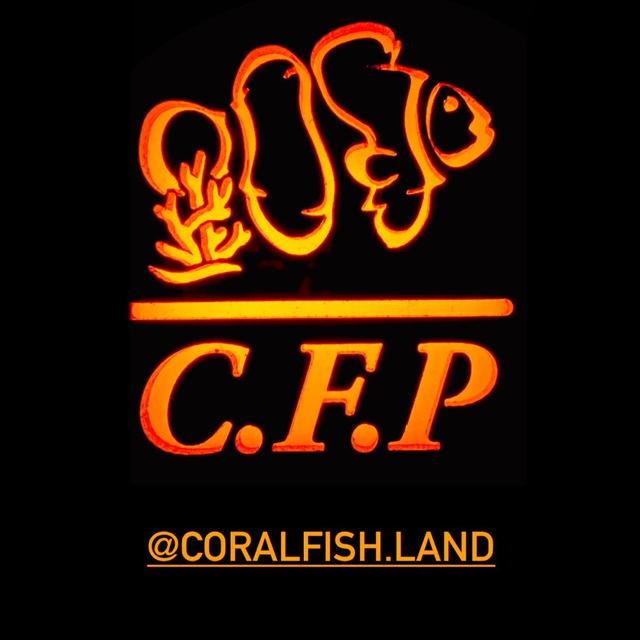 coralfish_land