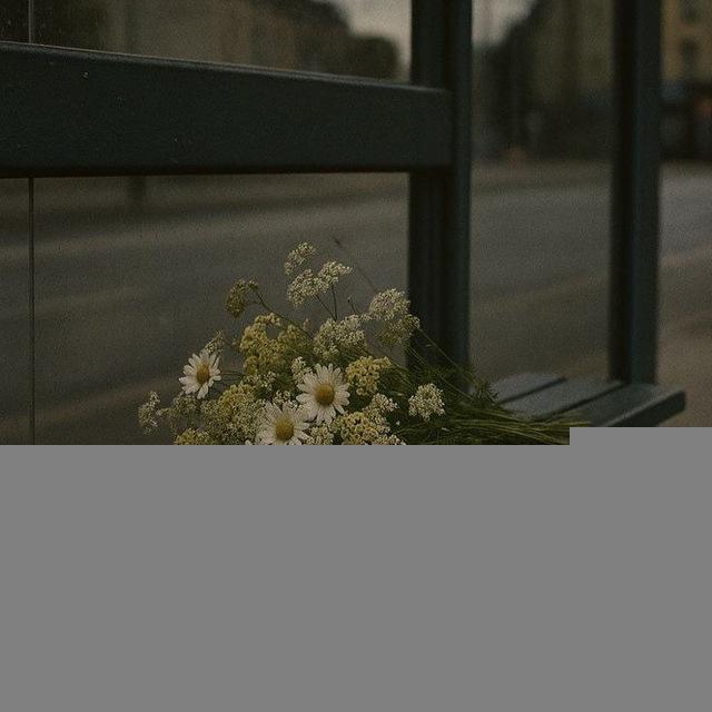 مسَافـة | 𝑆𝑃𝐴𝐶𝐸 🌻